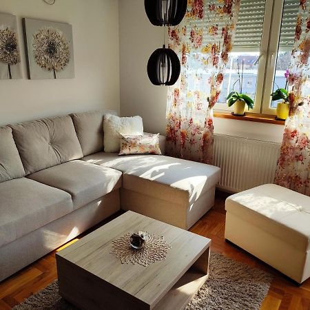 Apartment Rosa Novi Sad Exteriér fotografie