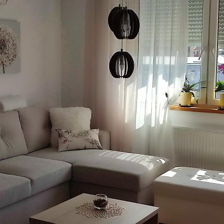 Apartment Rosa Novi Sad Exteriér fotografie