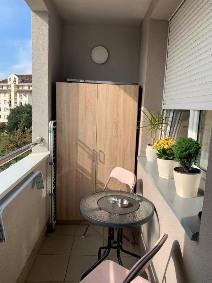 Apartment Rosa Novi Sad Exteriér fotografie