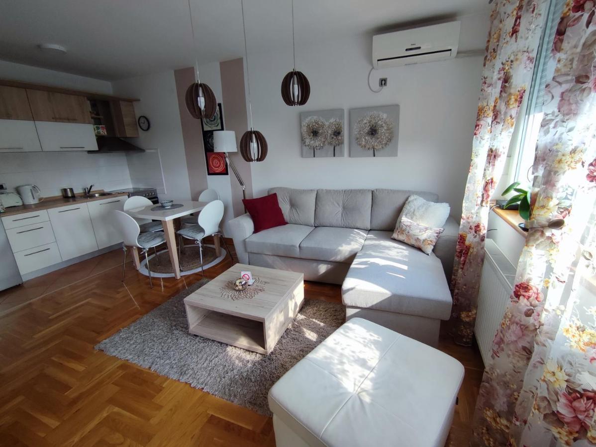 Apartment Rosa Novi Sad Exteriér fotografie