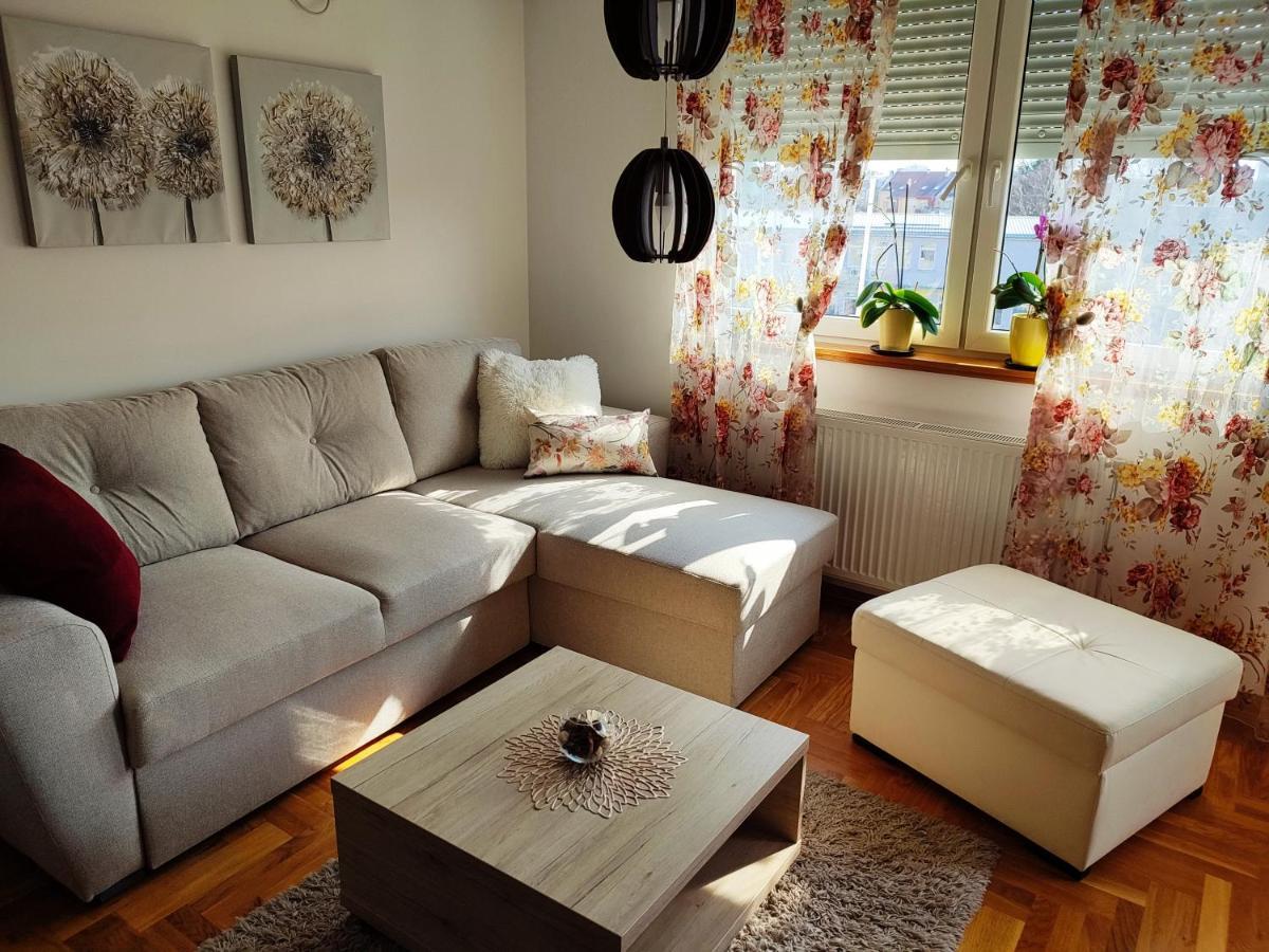 Apartment Rosa Novi Sad Exteriér fotografie
