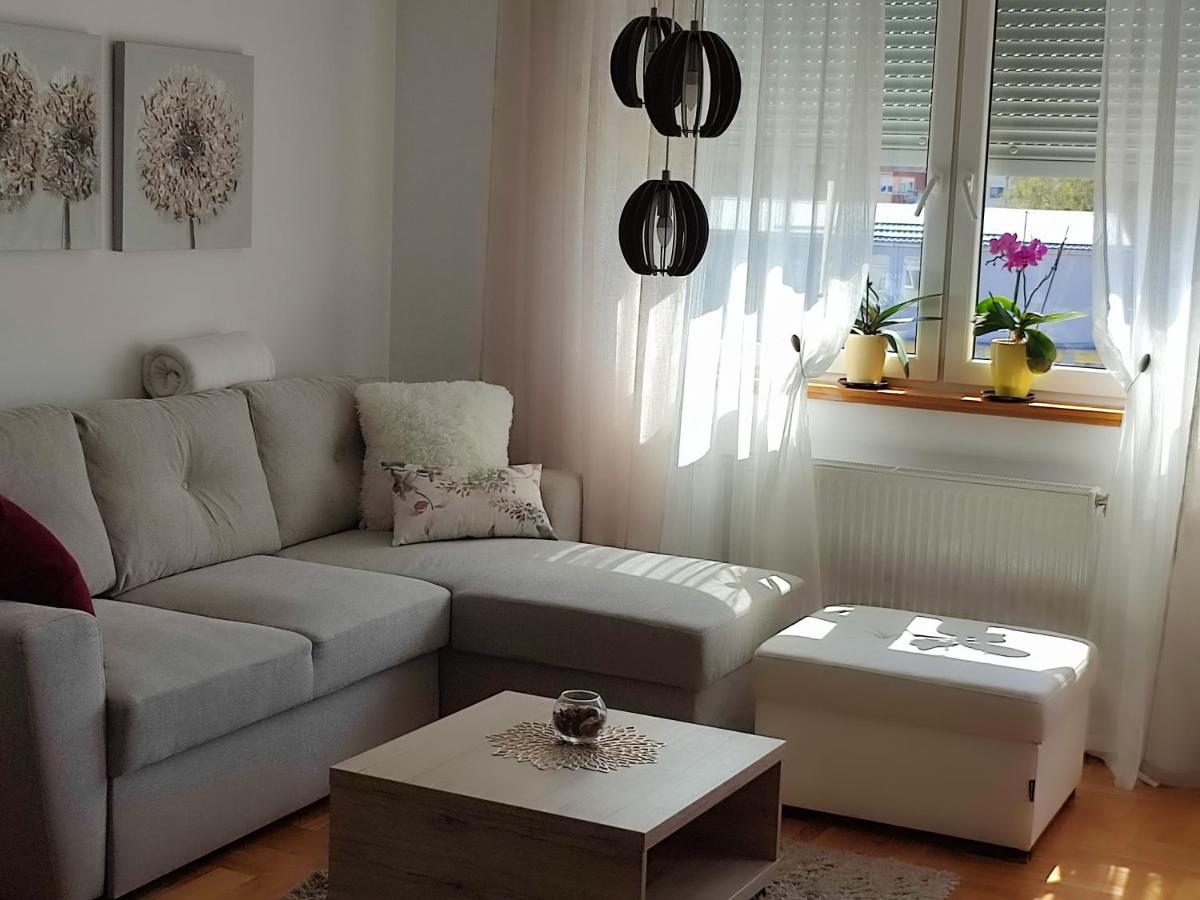 Apartment Rosa Novi Sad Exteriér fotografie