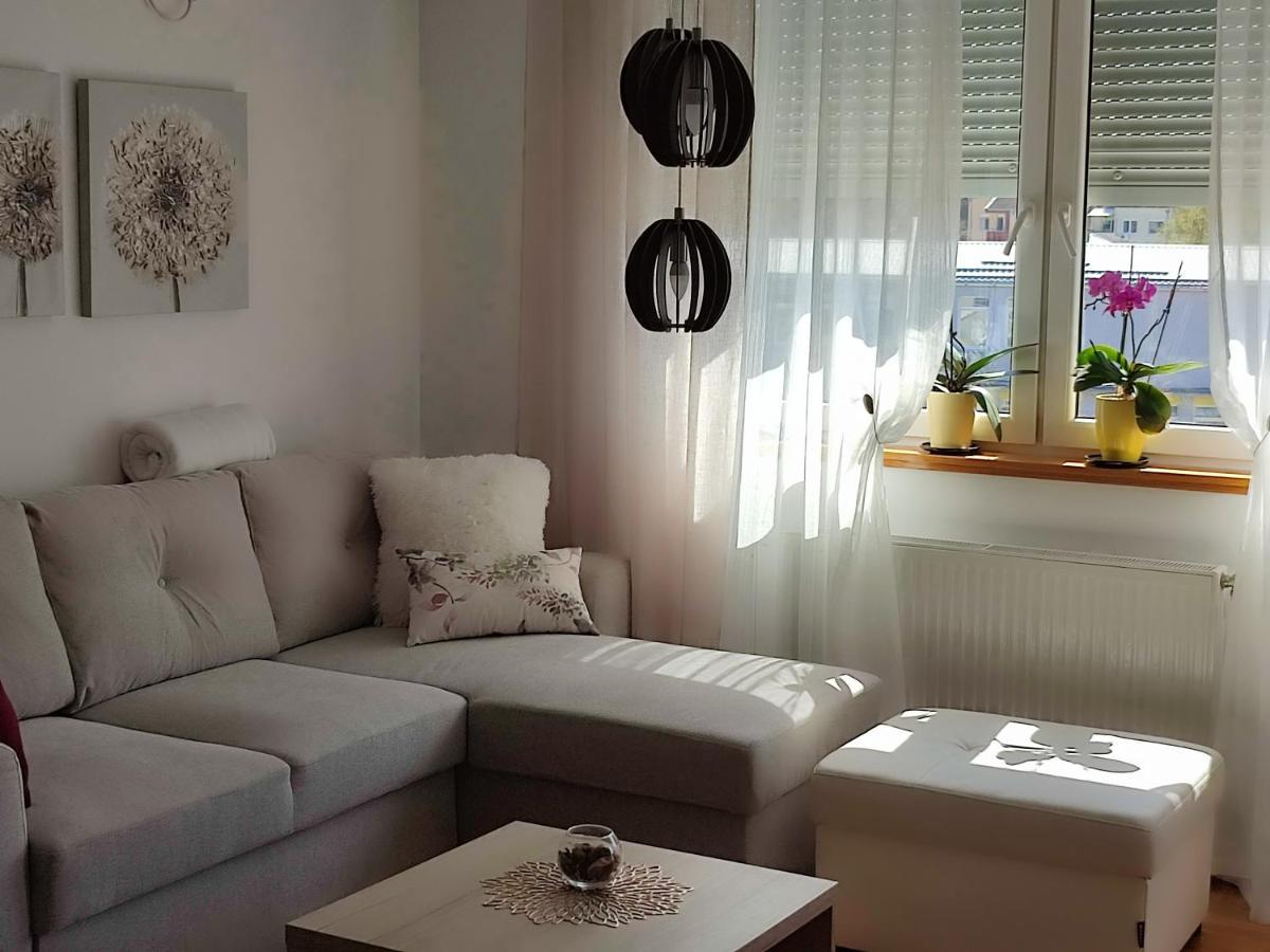Apartment Rosa Novi Sad Exteriér fotografie